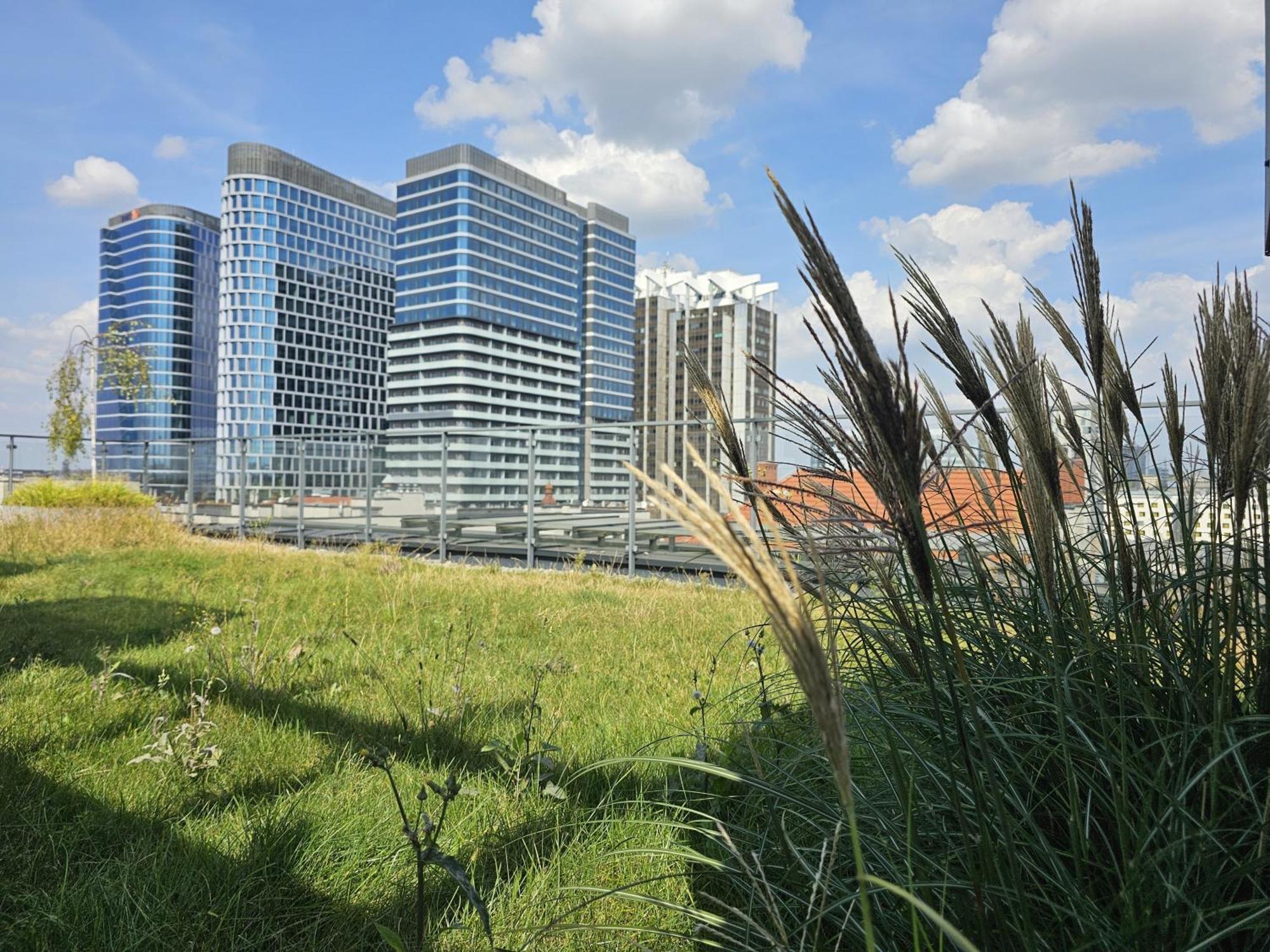 Urban Apartments Premium, Opolska 10 No 90, 2 Free Garages, Self Check-In คาโตวีตเซ ภายนอก รูปภาพ